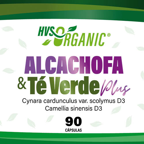 Alcachofa y Té verde PLUS Cápsulas